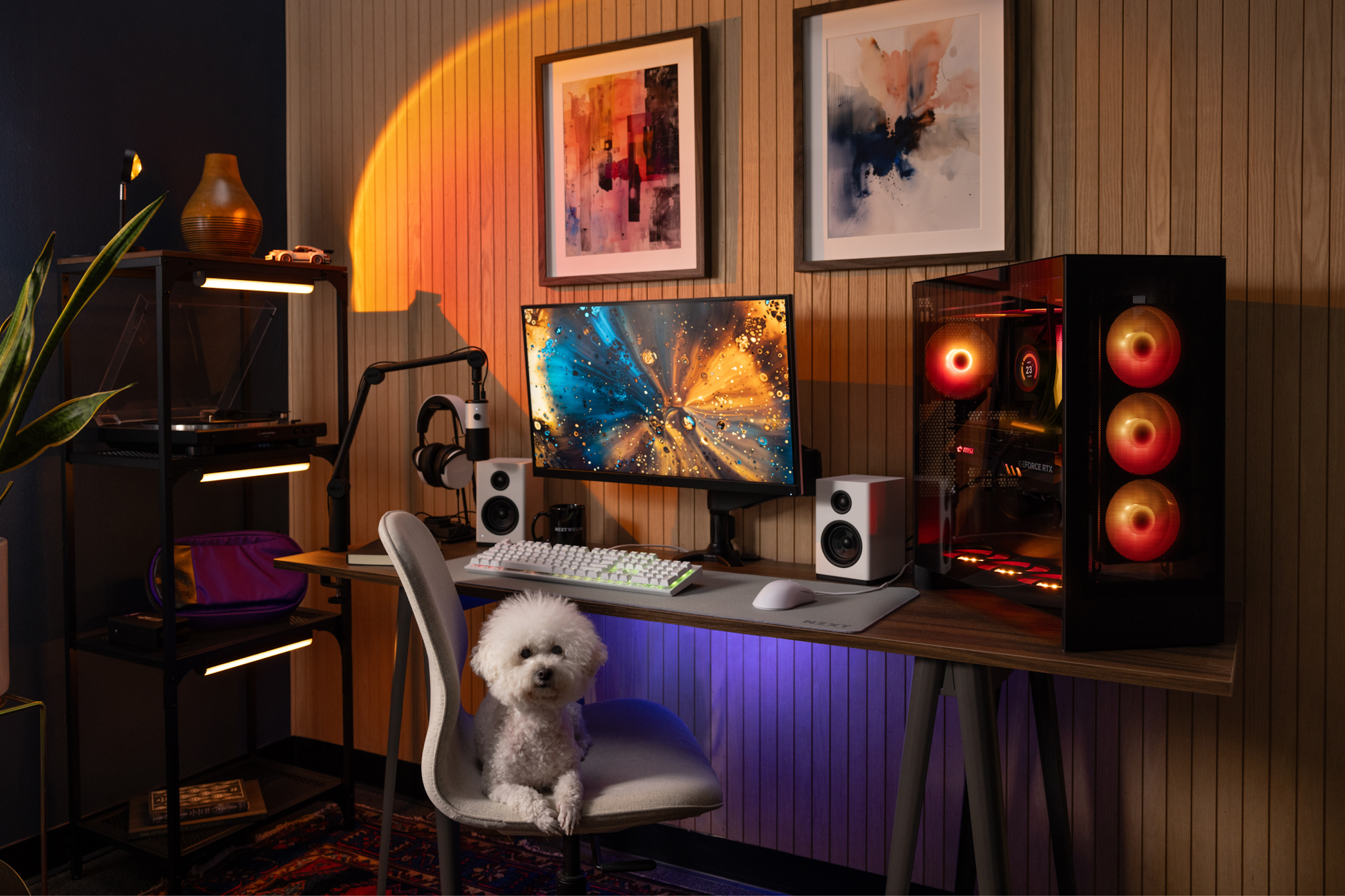 Desktop setup of black H7 Flow RGB with a cute dog